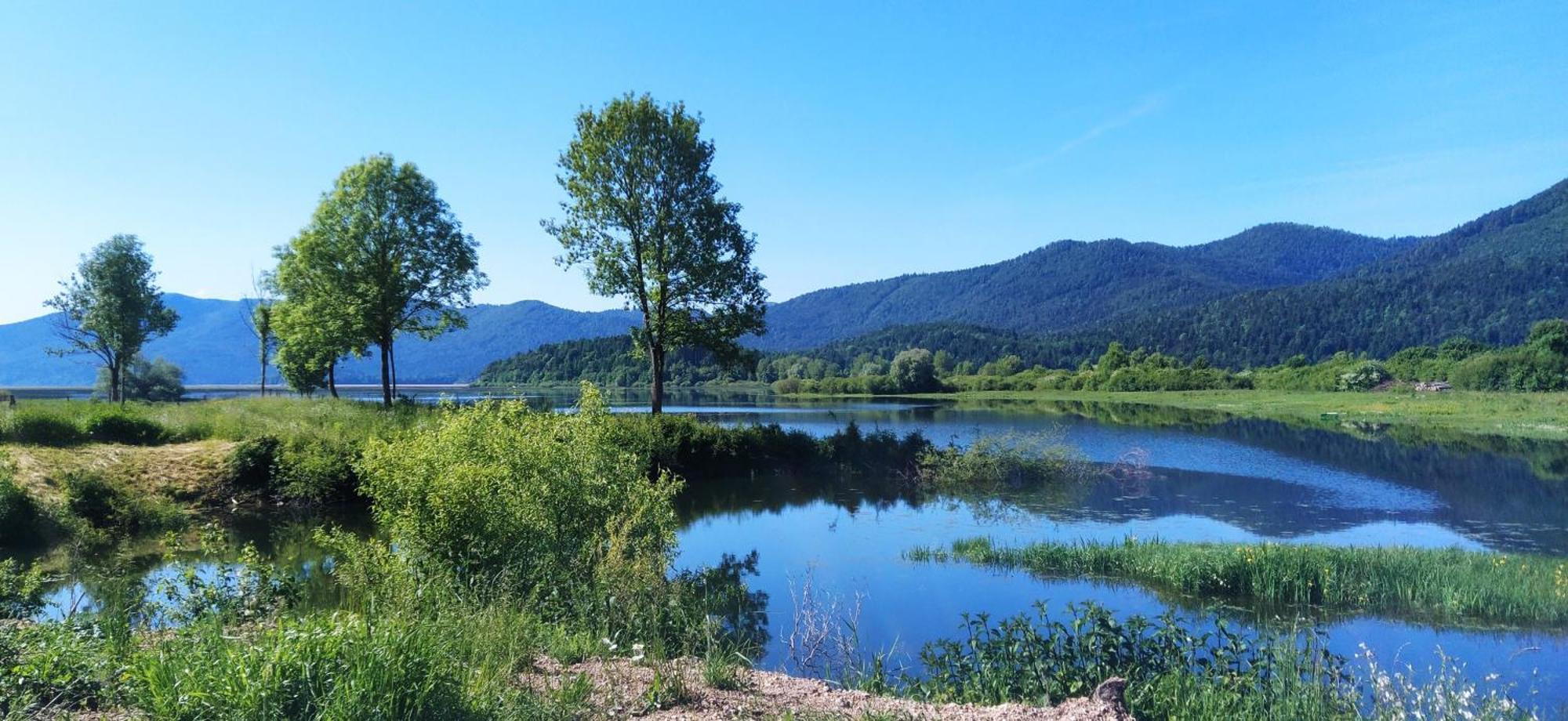 Apartment Jezerka Cerknica Eksteriør bilde